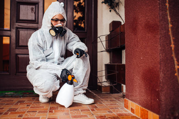 Reliable Wasp Removal contractor in Louisville, KY by Show Me Pest Control